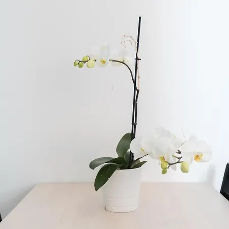 Parque Nacoes, Near Airport, Metro Station Apartament *